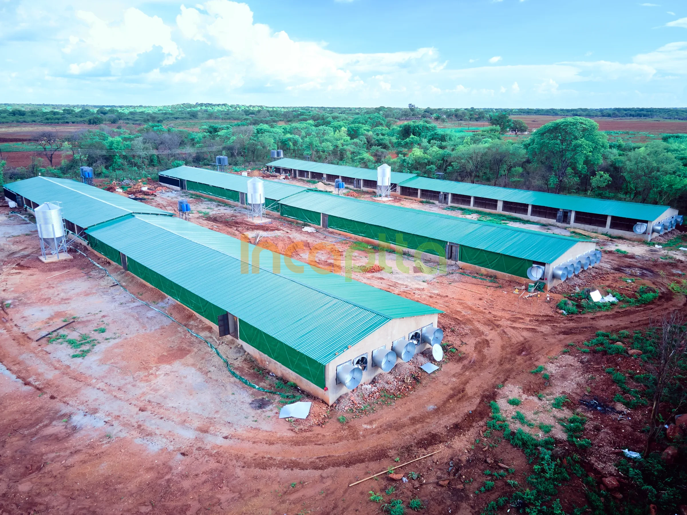 Aerial view of a completed Incaptta poultry house agri-structure